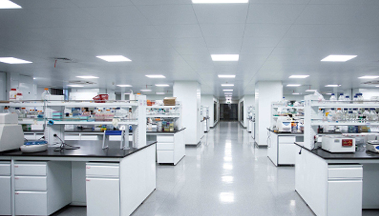 The Science, The Benefits, and The Lifestyle Foundation for Lasting Health